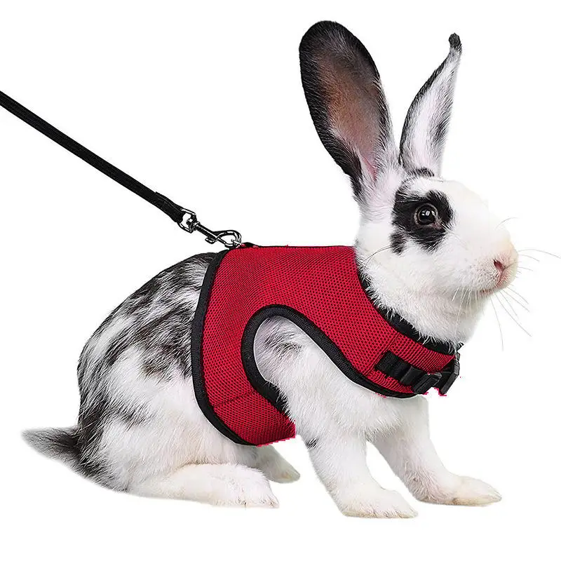 Mutil-Colors Breathable Stylish Vest Small Pet Carrier Bag Adjustable Soft Harness And Elastic Leash Set For Rabbits - Image 5