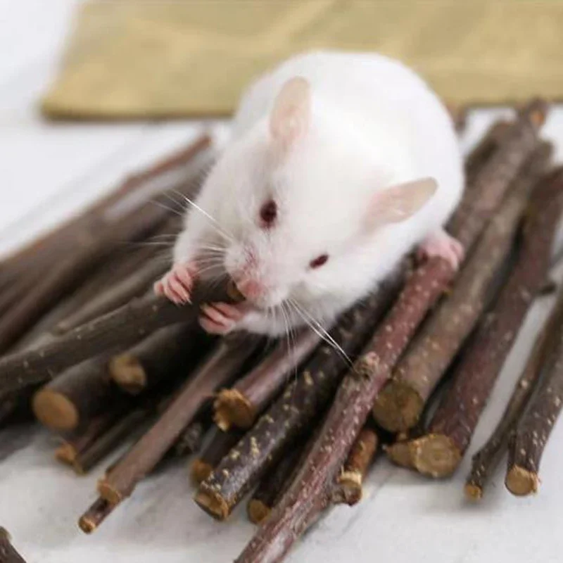 Professional Hamster Rabbit Teeth Grinding Apple Tree Stick Minerals Molar Stone Toys for Chinchilla Hamster PetToys accessories - Image 5