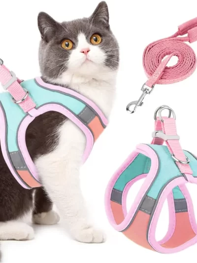 Small-sized Pet Vest-style Reflective Harness Set for Cats at Night, with Adjustable Harness and Pet Leash Set
