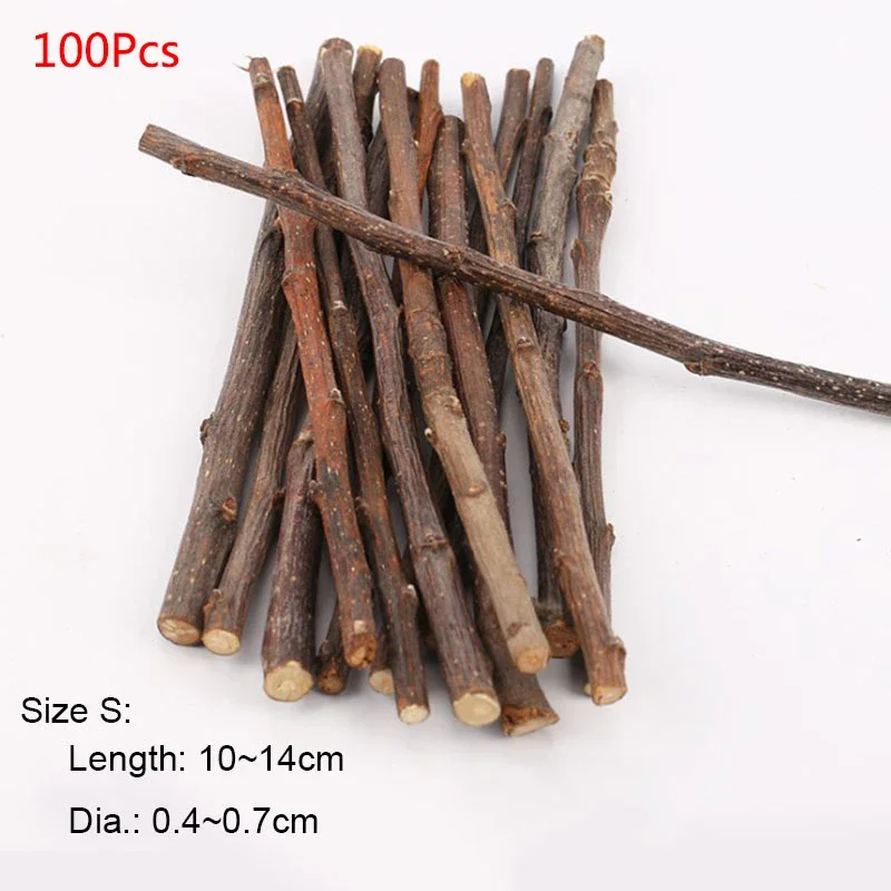 Professional Hamster Rabbit Teeth Grinding Apple Tree Stick Minerals Molar Stone Toys for Chinchilla Hamster PetToys accessories - Image 10