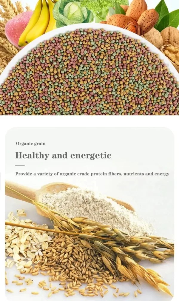Bird food parrot feed oil sunflower bird feed parrot food bird food bird food feed - Image 8