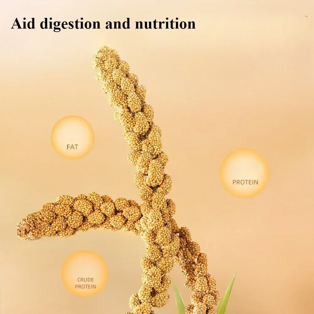 Parakeet snack grain with shell yellow millet Xuanphoenix tiger skin feed bird food bird food Wenbird pearl bird snack - Image 4