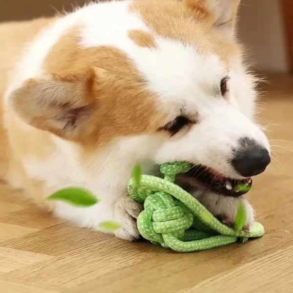 Pet Dog Toys for Large Small Dogs Toy InteractiveCotton Rope Mini Dog Toys Ball for DogsAccessories Toothbrush Chew Puppy Toy - Image 2
