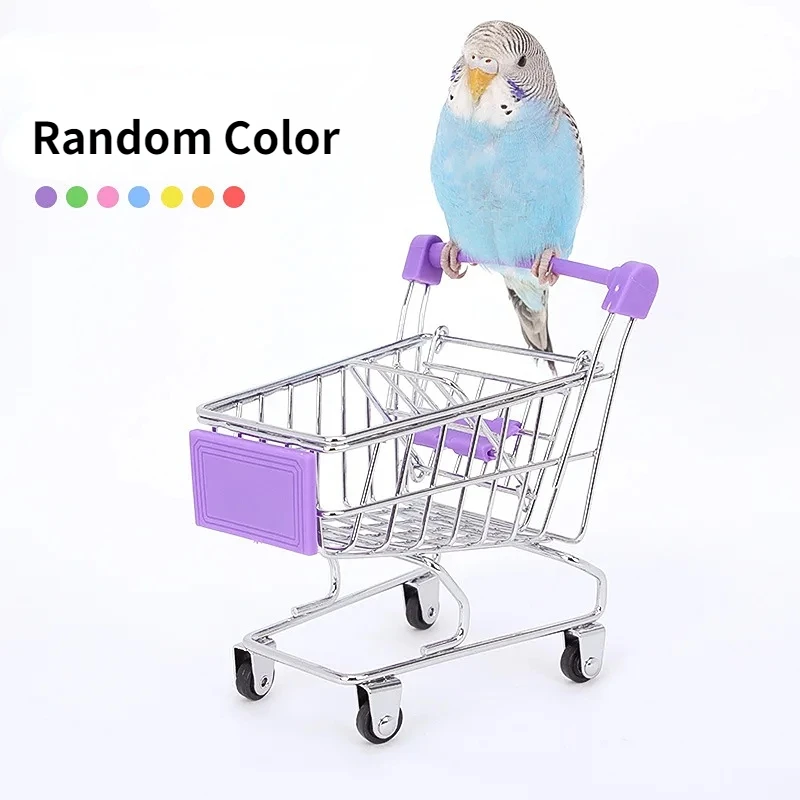 Bird Training Toy Supplies Basketball Stand Lovebird Shopping Cart Bird Toy Shoes Canary Skateboard Parrot Toy Accessories - Image 7