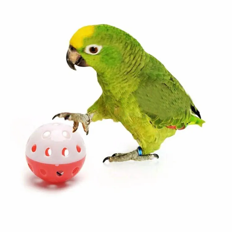 10pcs Parrot Toy Balls Fun Colored Hollow Bell Ball Sound Bird Toy Parakeet Training Interactive Chew Toys Pet Bird Supplies - Image 13