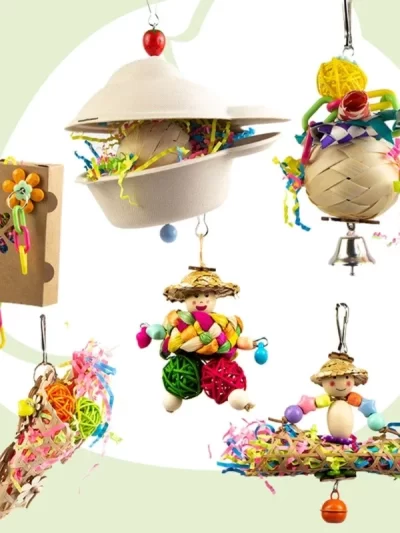 Bird Chewing Paper/ Rattan Toy Small Parrot Hanging Parrot Molar Toy for Cage
