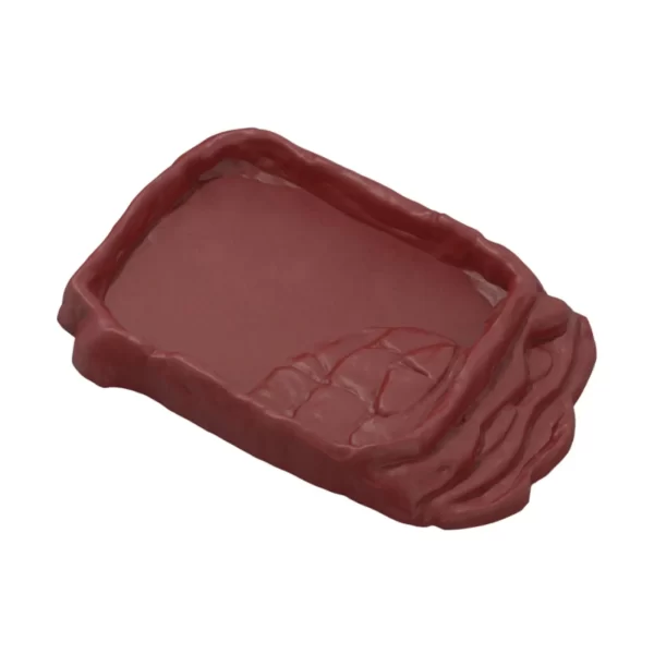 Reptile Ramp Food Bowl Multifunctional Turtle Bath Amphibian Feeding Dish for Tortoise Snakes Snake Hamster Aquarium Ornament - Image 8