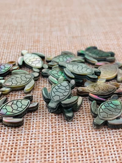 3PC Black Abalone Shell Turtle Tortoise Bead DIY Nacklace Earring Charm MOP Pendant Bracelet Jewelry Making Parts Accessories