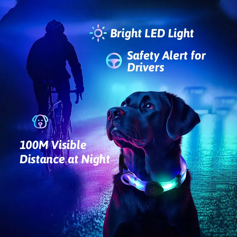LED Light Up Dog Collar and Leash Walking Safety Glow in The Dark, Three Lighting Modes, USB Rechargeable Dog Colorful LED Leash - Image 13