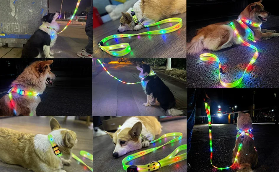 LED Light Up Dog Collar and Leash Walking Safety Glow in The Dark, Three Lighting Modes, USB Rechargeable Dog Colorful LED Leash - Image 19