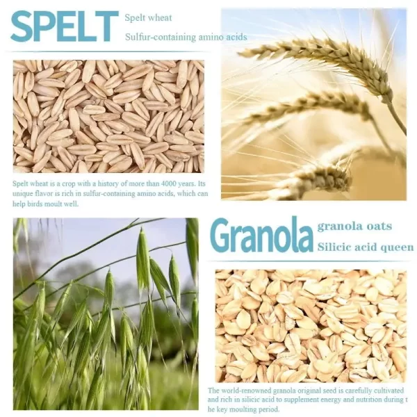Bird food parrot feed oil sunflower bird feed parrot food bird food bird food feed - Image 4
