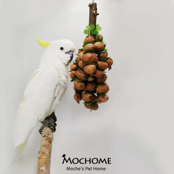 Bird Chewing Toy Parrot Cage Bite Toys Wooden Blocks Nuts Strings Toy for Small and Medium Birds Parrots Bird Supplies - Image 3