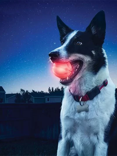 Funny Pet Bite Ball Toys LED Glowing Ball Dog Training Toys Nighttime Playing Interactive Toys For Puppy Pet Anti-lost Balls