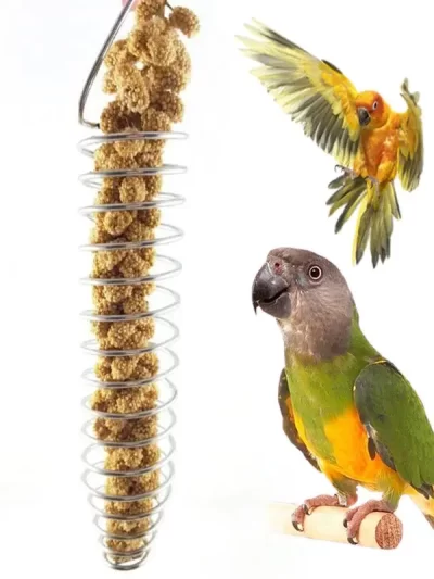 Parrot Bird Food Fruit Basket Toys Stainless Steel Feeding Device Birds Cage Feeder