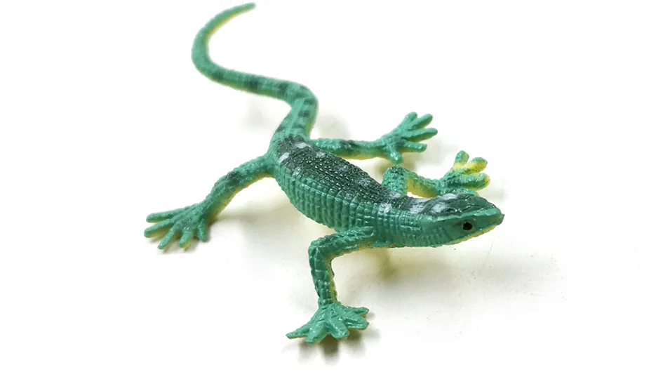 12pcs Diy Simulation Mini Lizard Figurine Reptile Animal Model Home Decor Miniature Fairy Garden Decoration Accessories Modern - Image 14