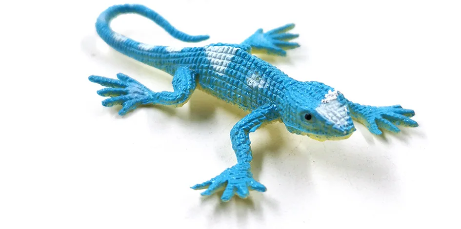 12pcs Diy Simulation Mini Lizard Figurine Reptile Animal Model Home Decor Miniature Fairy Garden Decoration Accessories Modern - Image 17