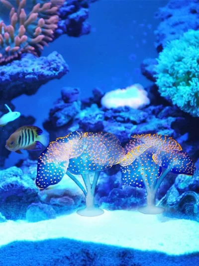 1pc-Aquarium decorative plants, simulated coral with suction cups, water features, fish tank aquarium landscapes-random color