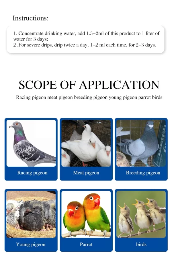 Green Water Stools, Pigeon Medicine, Newcastle Disease, Bursitis, Pigeon Supplies, Racing Pigeons, Parrots, Bird Supplies - Image 10