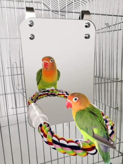 Bird Mirror With Perch Cage Swing Toy Macaws Finches Small Parakeet Rope Stand for Parrot Pet Supplies