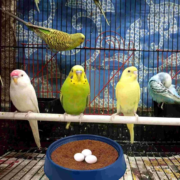 4 Pcs Pigeon Nest Bowl Nesting Bowls The Bird's Quails Breeding Supplies Small Nests - Image 3