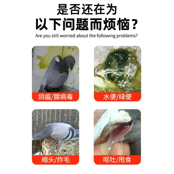 Green Water Stools, Pigeon Medicine, Newcastle Disease, Bursitis, Pigeon Supplies, Racing Pigeons, Parrots, Bird Supplies - Image 4