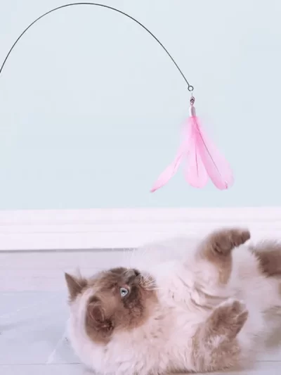 Cat Toy Feather Toys for Cats ScratchTease Cat Toys Interactive Funny Bite Resistant Cats Toy with Bell Wire Sucker Pet Products