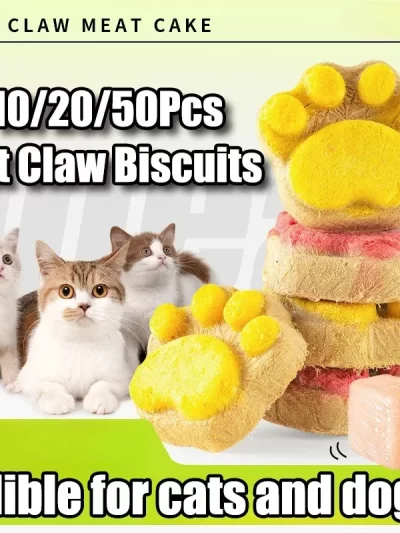 10/20/50Pcs Cat Snacks Cat Biscuit Freeze-Dried Cat Claw Biscuits Dog Snacks Nutrition Fattening Snack Cat Training Reward Snack