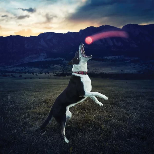 Funny Pet Bite Ball Toys LED Glowing Ball Dog Training Toys Nighttime Playing Interactive Toys For Puppy Pet Anti-lost Balls - Image 9