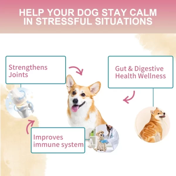 Multivitamin Nutritional Supplement For Dogs -Rich in various Essential Nutrients for Immunity & Growth - Puppy to Senior Dogs - Image 12