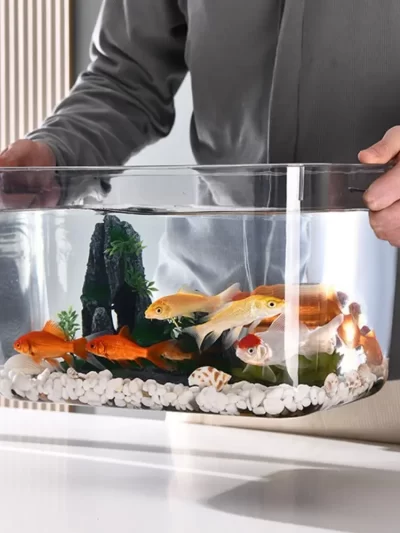 Fall Prevention Explosion-proof Plastic Fish Tank PET Transparent Tabletop Fish Tank Small Ecological Water Tank