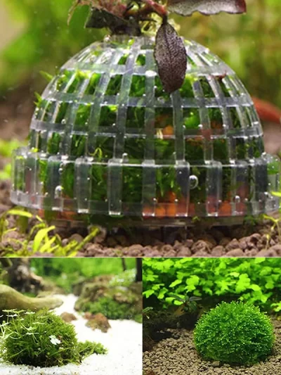 New Aquatic Pet Supplies Decorations  Aquarium Natural Moss Ball Live Plants Filter  Pet Fish Tank Decor Accessories