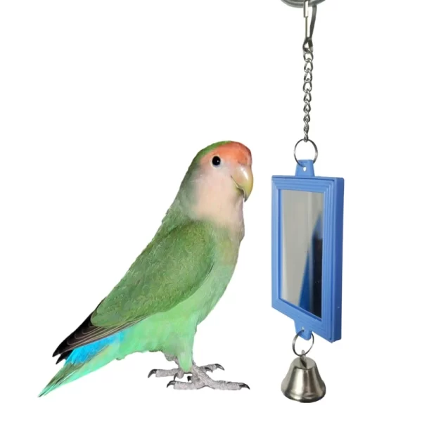 Bird Mirrors with Metal Bells Cockatiel Parakeets Mirror for Cage Bird Toy Swing Cage Accessories for Parrots Conure - Image 8