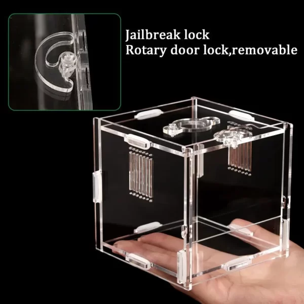 Acrylic Amphibian Breeding Boxes Jumping Spider Enclosure Feeding Box Reptile Terrarium for Tarantula Snail Small Insect Habitat - Image 11