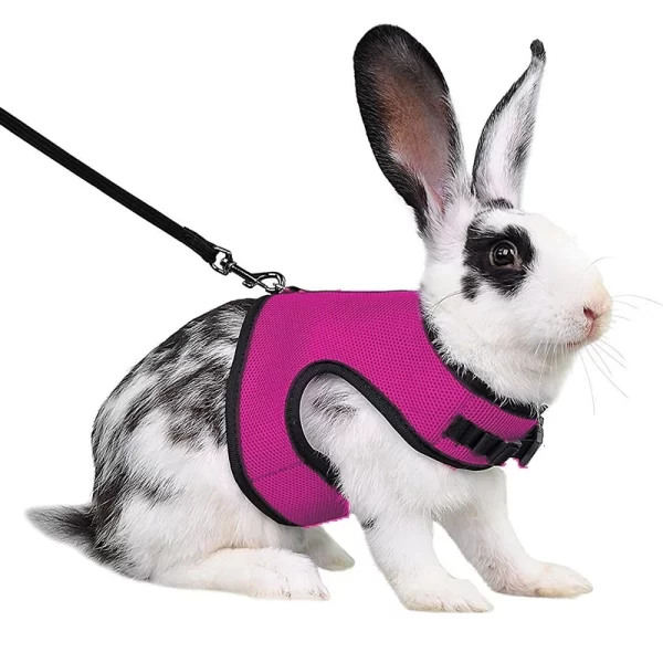 Rabbit Harness and Leash Set Bunny Pet Accessories Vest Harnesses Rabbit Leashes for Outdoor Walking Pets Supplies - Image 8
