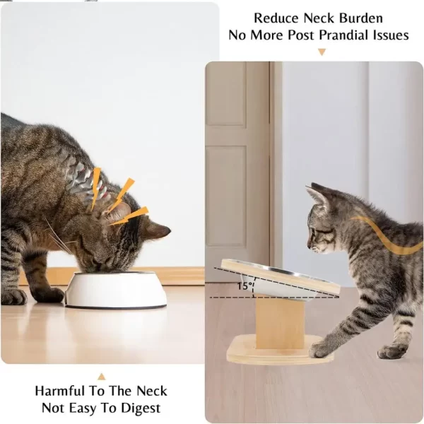 Elevated Cat Dog Bowls 15 degrees Tilted Raised Cat Food Water Bowls Pet Bowls for Cats & Small Dog Wooden Dog Bowl Pet Supplies - Image 11