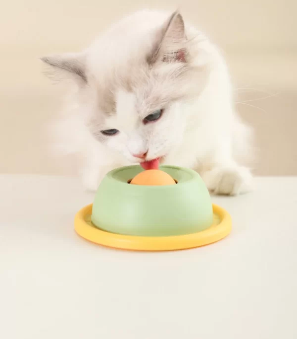 Interactive Pet Cat Licking Food Toys Anti-slip Pet Slow Feeder for Cats Funny Kitten Licking Plate Cat Accessories - Image 11