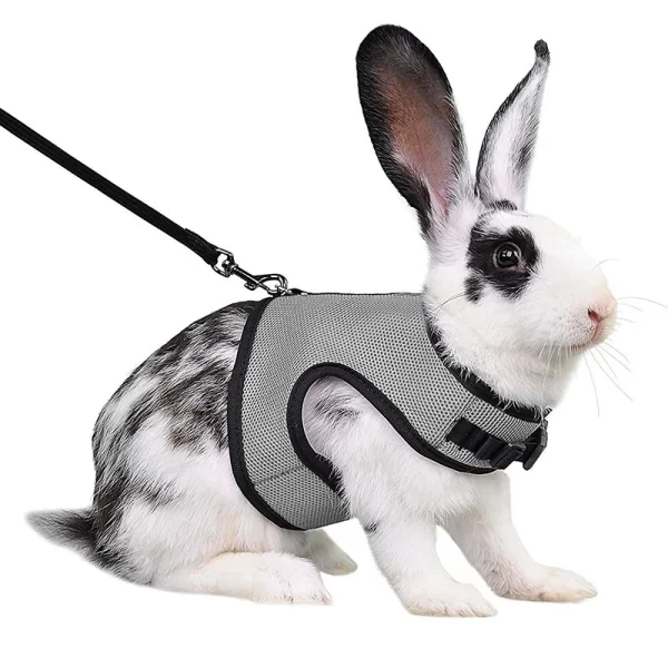 Rabbit Harness and Leash Set Bunny Pet Accessories Vest Harnesses Rabbit Leashes for Outdoor Walking Pets Supplies - Image 11