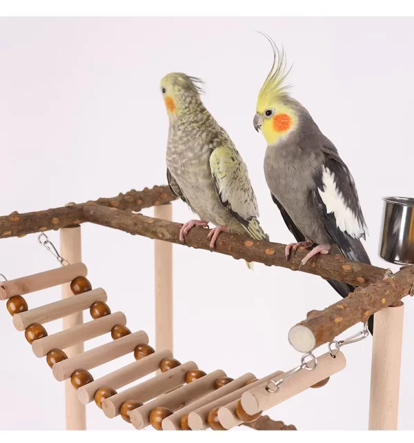 Budgies Cage Toy Stand Swing Parrots Feeding Cup Gym Toy Bridge Climbing Toy for Parakeets Cockatiel Dropshipping Bird Supplies - Image 11