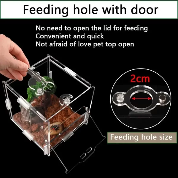 Acrylic Amphibian Breeding Boxes Jumping Spider Enclosure Feeding Box Reptile Terrarium for Tarantula Snail Small Insect Habitat - Image 2