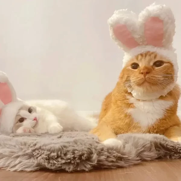 Funny Cat Headgear Cute Rabbit Ears Cap Warm Plush Ears Cat Accessories Hat PhotoProp Pet Bunny Cosplay Headdress Pet I8A8 - Image 11