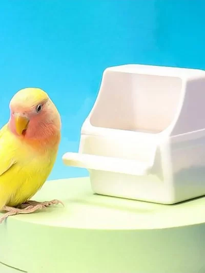 1pc-Acrylic feeding tool for small poultry, splash proof bird food container