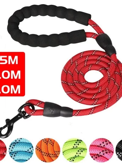 Reflective Dog Leash with Padded Handle - Durable Dual Traction Rope for Strong Dogs - Boost Safety and Control