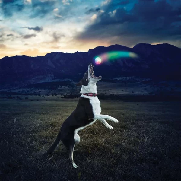 Funny Pet Bite Ball Toys LED Glowing Ball Dog Training Toys Nighttime Playing Interactive Toys For Puppy Pet Anti-lost Balls - Image 8