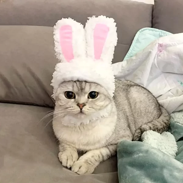 Funny Cat Headgear Cute Rabbit Ears Cap Warm Plush Ears Cat Accessories Hat PhotoProp Pet Bunny Cosplay Headdress Pet I8A8 - Image 8