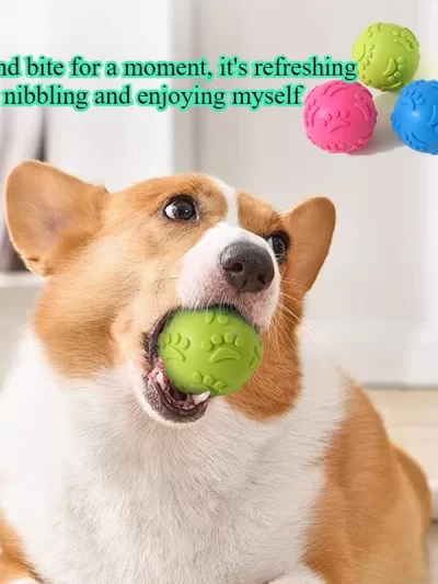 Squeaky Footprint Dog Toys Durable Bite-Resistant Chew Ball with Teething Aid Interactive Puppy Chew Toys for Aggressive Chewers