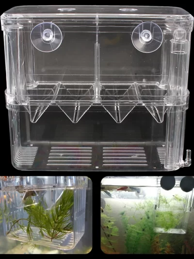Aquarium Hatching Fish Tank Breeding Aquarium Hatchery Incubator Holder