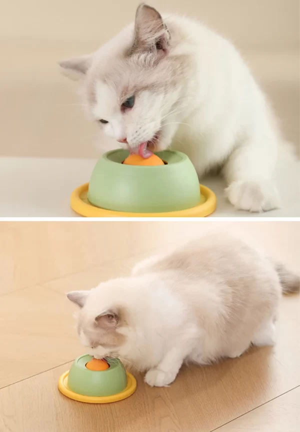 Interactive Pet Cat Licking Food Toys Anti-slip Pet Slow Feeder for Cats Funny Kitten Licking Plate Cat Accessories - Image 15