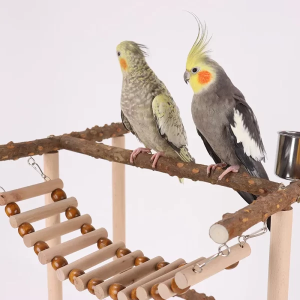Budgies Cage Toy Stand Swing Parrots Feeding Cup Gym Toy Bridge Climbing Toy for Parakeets Cockatiel Dropshipping Bird Supplies - Image 3