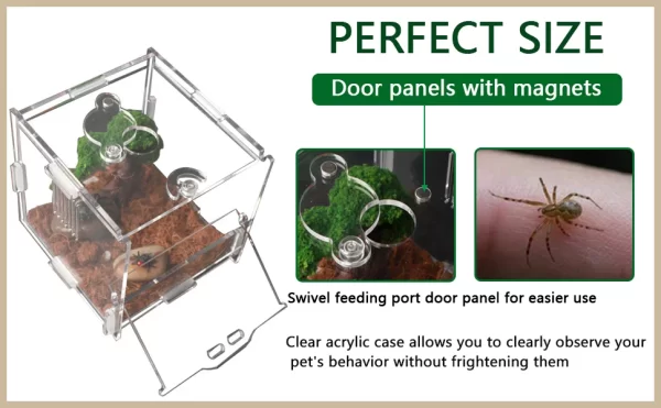 Acrylic Amphibian Breeding Boxes Jumping Spider Enclosure Feeding Box Reptile Terrarium for Tarantula Snail Small Insect Habitat - Image 8
