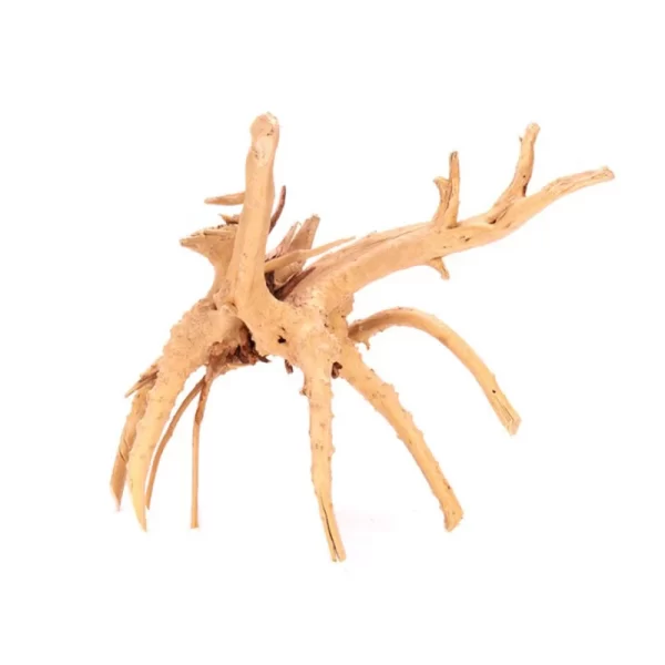 1 Pcs Wood Natural Trunk Driftwood Tree Aquarium Fish Tank Plant Stump Aquarium Fish Tank Ornament Landscaping Decoration - Image 4